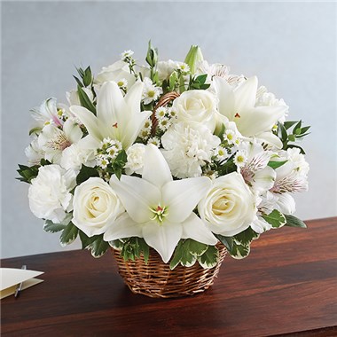 148696m_HR_fd_05_17_17