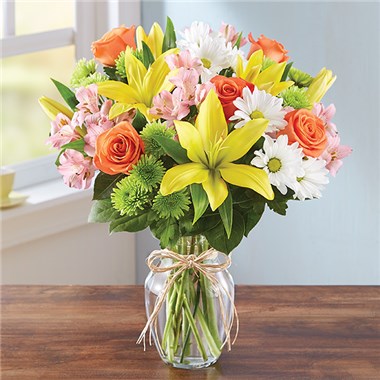 159229L_HR_fd_3_6_17