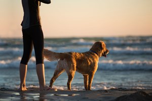 Pet_Sympathy