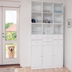 animal-architecture-backdoor-245207
