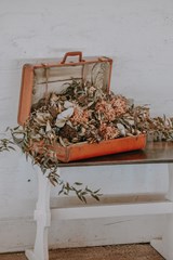 jacalyn-beales-COfM0YekQIo-unsplash
